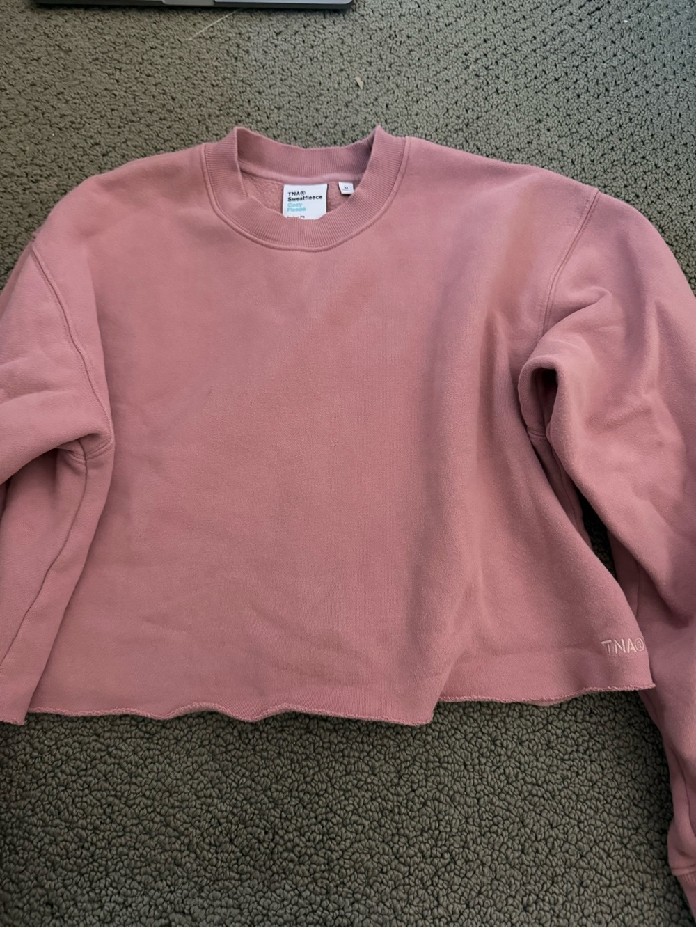 Aritzia Oversized Cropped Sweatshirt in Dusty Rose